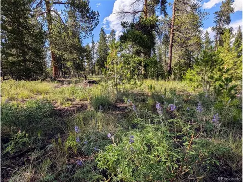 511 Spruce Dr, Twin Lakes, CO 81251