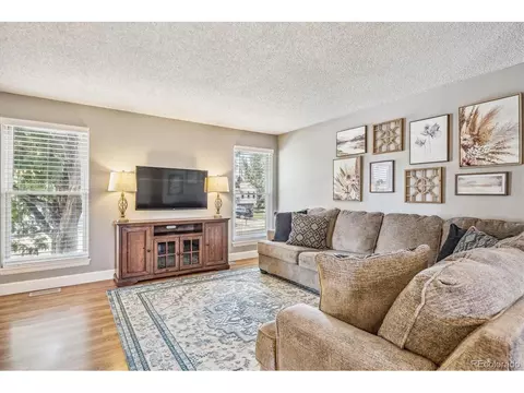 4476 E 93rd Pl, Thornton, CO 80229 photo 5