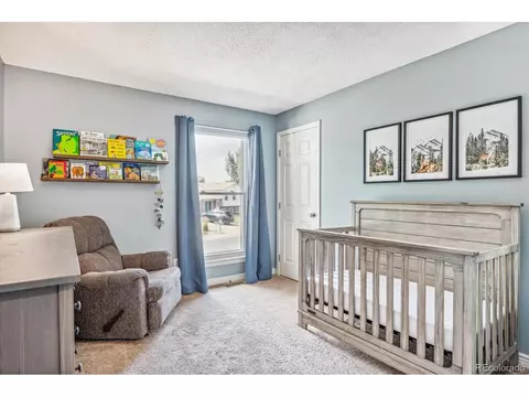 4476 E 93rd Pl, Thornton, CO 80229 photo 10