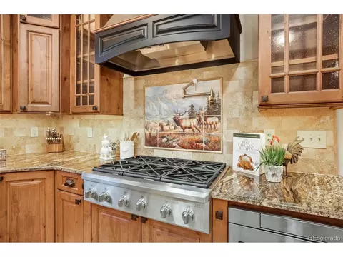 7454 Ridgecrest Ln, Morrison, CO 80465 photo 10