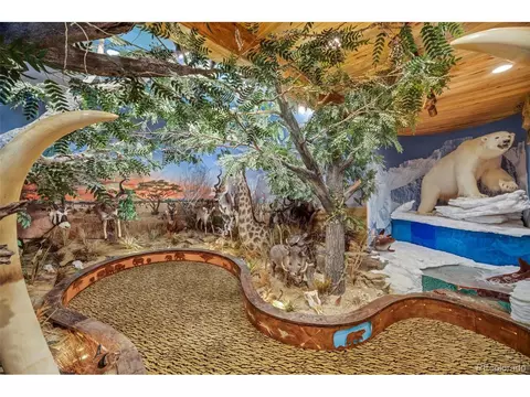 7454 Ridgecrest Ln, Morrison, CO 80465 photo 22