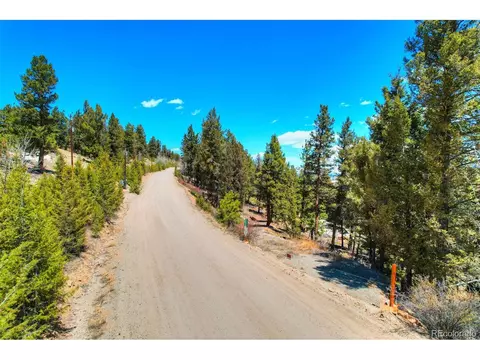 3888 Middle Fork Vis, Fairplay, CO 80440