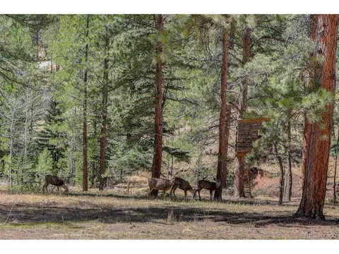 Exterior - 34144 Rock Creek Rd, Pine, CO 80470 photo 7 of 16