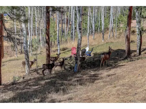 Exterior - 34144 Rock Creek Rd, Pine, CO 80470 photo 6 of 16