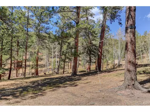 Exterior - 34144 Rock Creek Rd, Pine, CO 80470 photo 16 of 16