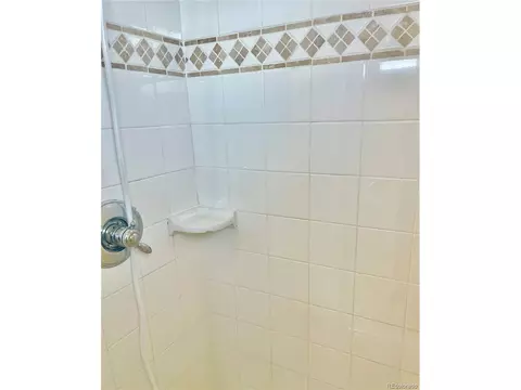 8173 E 157th Ct, Thornton, CO 80602 photo 22