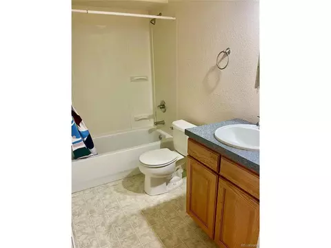 8173 E 157th Ct, Thornton, CO 80602 photo 26