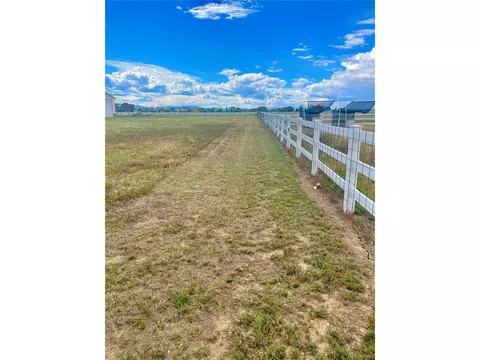 8173 E 157th Ct, Thornton, CO 80602 photo 9