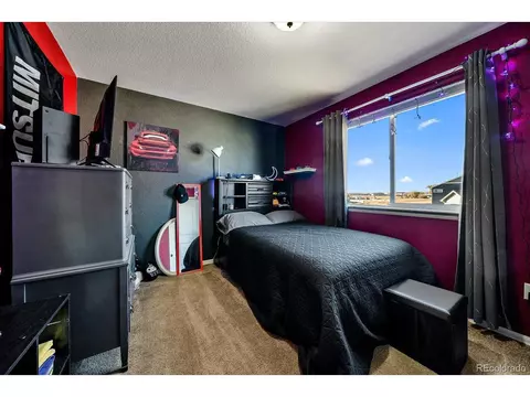 780 Dakota Way, Windsor, CO 80550 photo 20