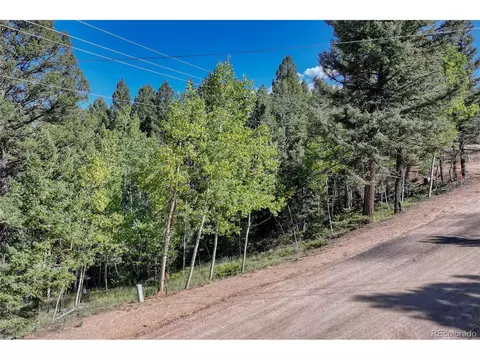 282 Pinon Lake Dr, Divide, CO 80814