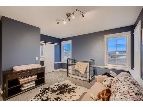 3292 Boundless Ln, Timnath, CO 80547 photo 26
