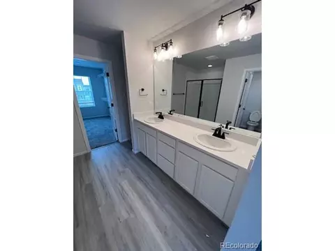 1038 Urial Dr, Severance, CO 80550 photo 11