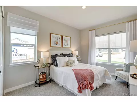 2644 Cutter Dr, Severance, CO 80524 photo 20