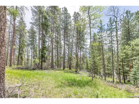 12 Indian Springs Rd, Conifer, CO 80433