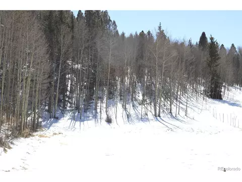 Undisclosed, Lake George, CO 80827