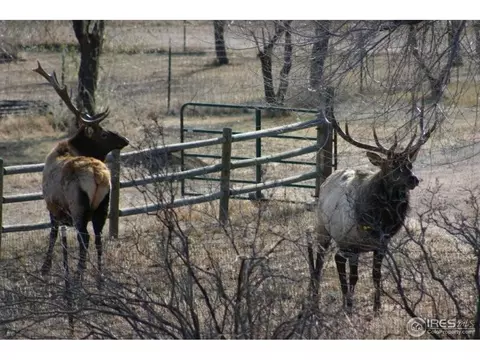 376 J J Kelly Rd, Lyons, CO 80540 photo 18