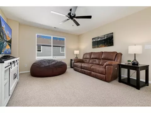3477 E 139th Pl, Thornton, CO 80602 photo 25