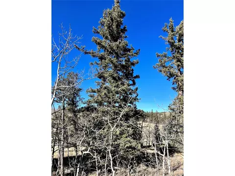 996 Winchester Dr, Como, CO 80432 photo 15
