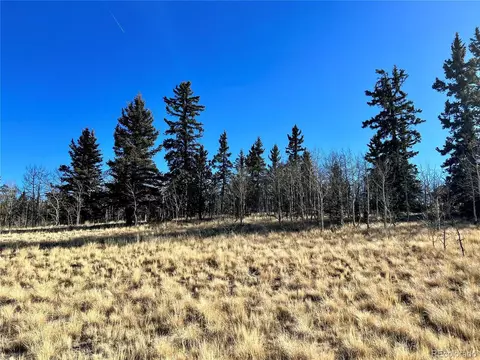 996 Winchester Dr, Como, CO 80432 photo 20