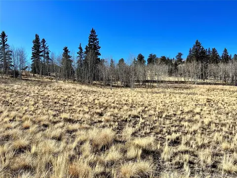 996 Winchester Dr, Como, CO 80432 photo 11