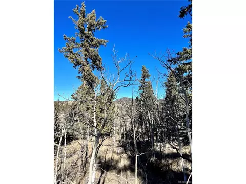 996 Winchester Dr, Como, CO 80432 photo 14