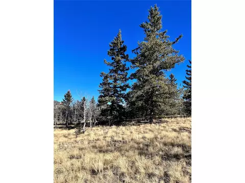 996 Winchester Dr, Como, CO 80432 photo 8