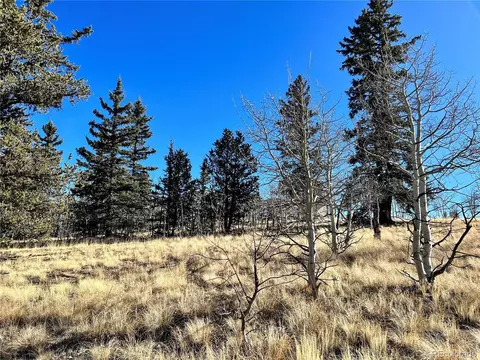 996 Winchester Dr, Como, CO 80432 photo 9