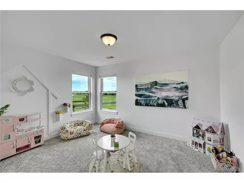 37028 Soaring Eagle Cir, Severance, CO 80550 photo 23