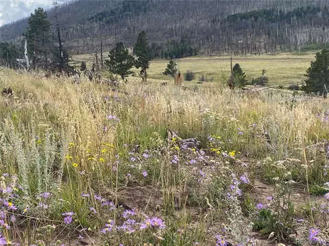 465 Mulligan Ln, Fort Garland, CO 81133
