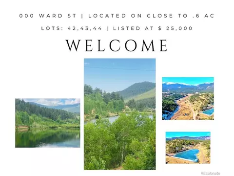 0 Ward, Bailey, CO 80421