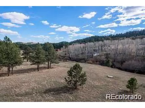 636 Bluebird Dr, Bailey, CO 80421 photo 15