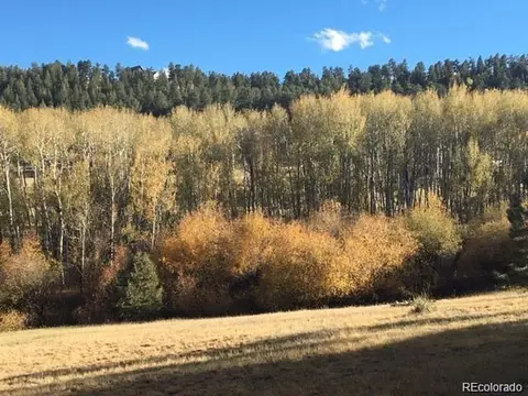636 Bluebird Dr, Bailey, CO 80421 photo 5