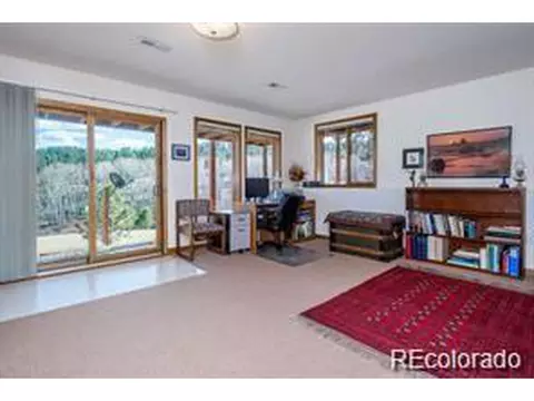 636 Bluebird Dr, Bailey, CO 80421 photo 17