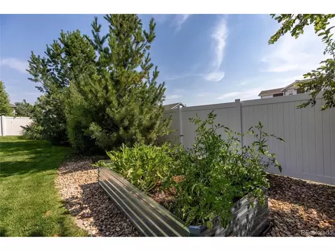 1107 Crescent Dr, Windsor, CO 80550 photo 33