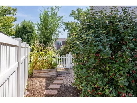 1107 Crescent Dr, Windsor, CO 80550 photo 34