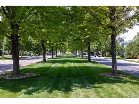 1107 Crescent Dr, Windsor, CO 80550 photo 39