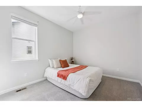 1627 Kit St, Windsor, CO 80550 photo 18
