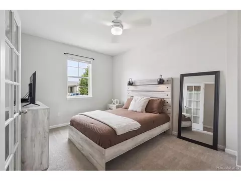 1627 Kit St, Windsor, CO 80550 photo 3
