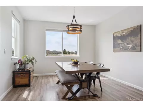 1627 Kit St, Windsor, CO 80550 photo 11