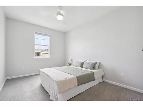 1627 Kit St, Windsor, CO 80550 photo 16