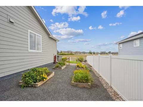 1627 Kit St, Windsor, CO 80550 photo 24