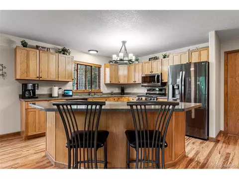 1433 Bluebird Dr, Bailey, CO 80421 photo 7