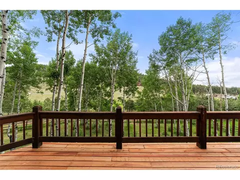 1433 Bluebird Dr, Bailey, CO 80421 photo 13