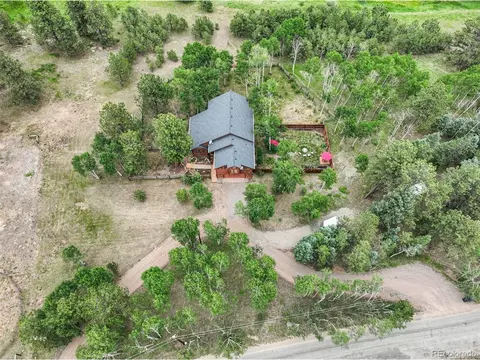 1433 Bluebird Dr, Bailey, CO 80421 photo 45