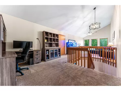 1433 Bluebird Dr, Bailey, CO 80421 photo 25