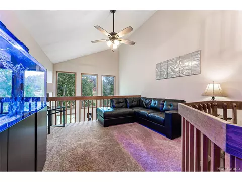 1433 Bluebird Dr, Bailey, CO 80421 photo 26