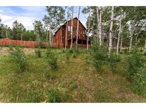 1433 Bluebird Dr, Bailey, CO 80421 photo 39