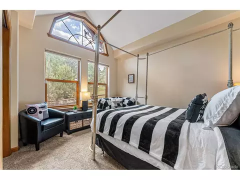 1433 Bluebird Dr, Bailey, CO 80421 photo 14