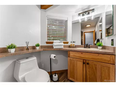 1433 Bluebird Dr, Bailey, CO 80421 photo 16
