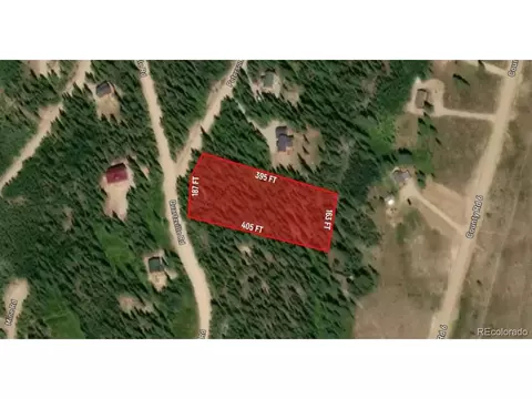 8 Peterson Dr, Fairplay, CO 80440